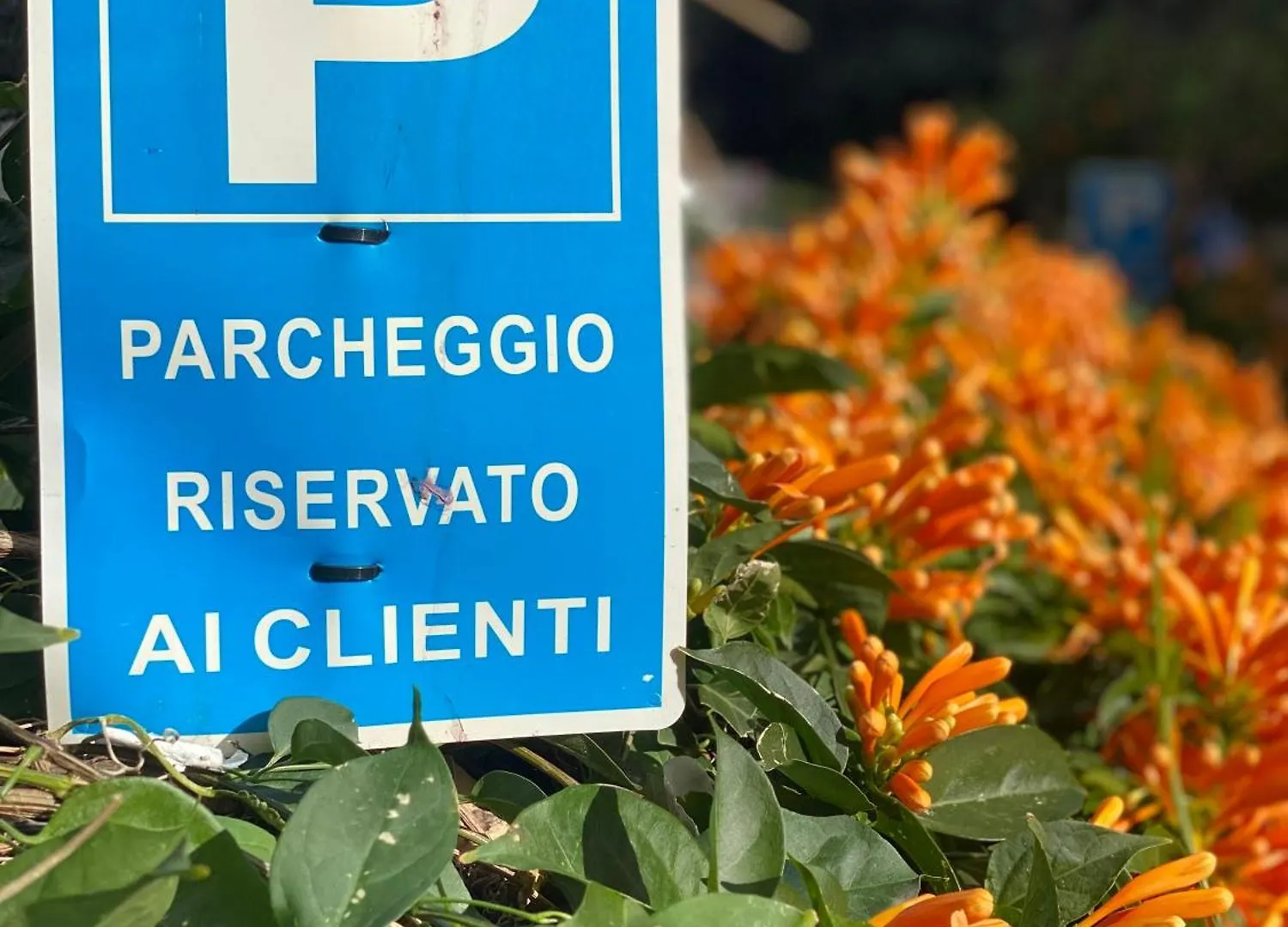 B&B Mareagro Санта-Тереза-ди-Рива